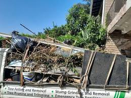 Best Residential Junk Removal  in Trenton, TN